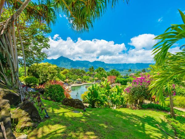 Kauai Tropical Escape with Spectacular Views & Family-Friendly Comfort
