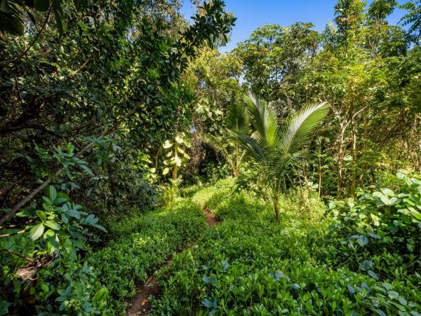 Princeville Oceanfront Vacation Rental Luxury 3-Bedroom Kauai Beach Home