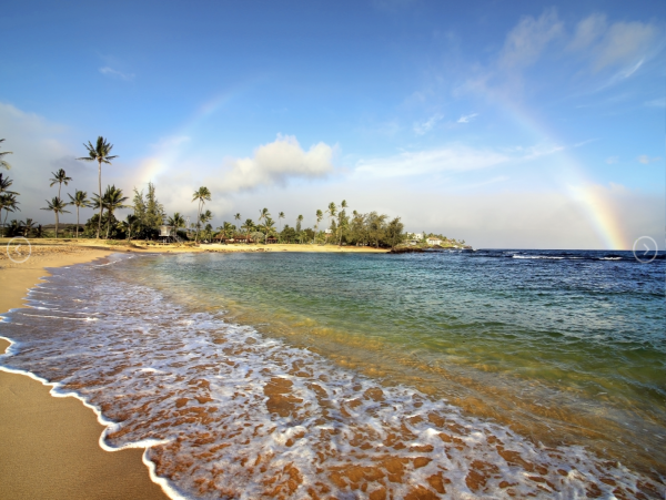 Secluded Four Bedroom Koloa Vacation Rentals