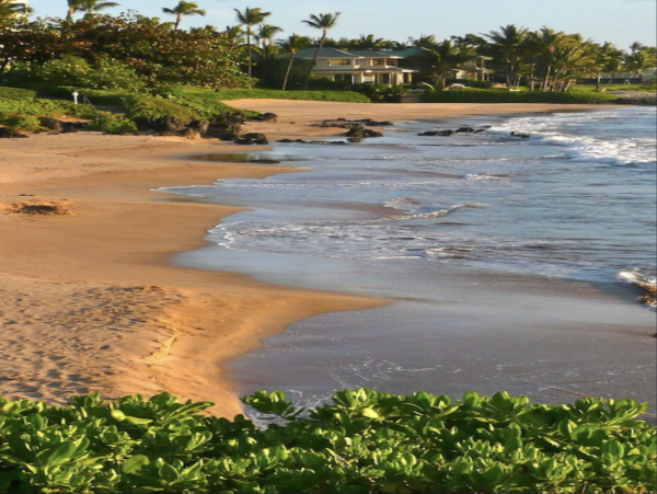 Truly Magnificent Maui Luxury Beach House