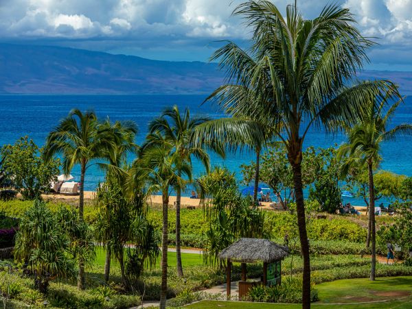 Beachfront Luxury 2 Bedroom Vacation Condo in Kaanapali