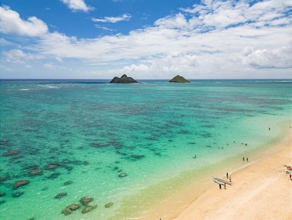 Oceanfront Hawaiian Retreat with Stunning Views and Guest Cottage