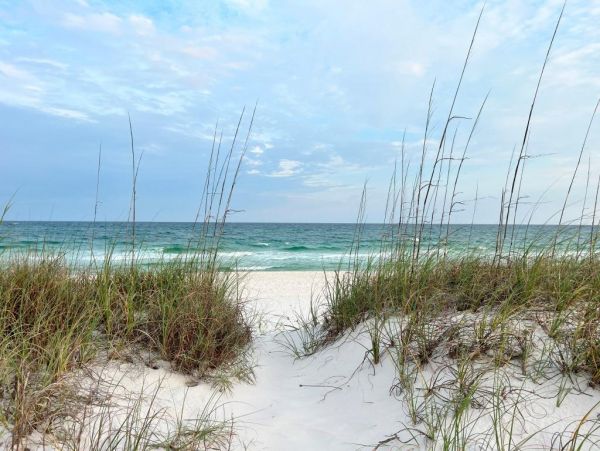 On Beach Gulf Shores Vacation Home Ten Bedroom