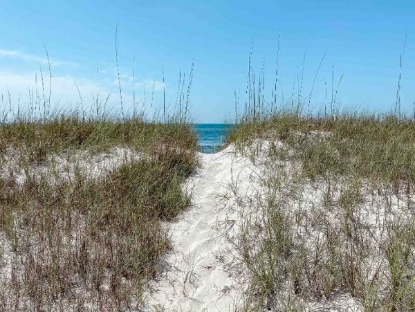 On Beach Gulf Shores Vacation Home Ten Bedroom