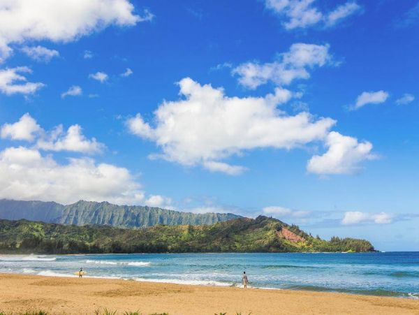 Hanalei Beachfront 5 Bedroom Vacation Rental