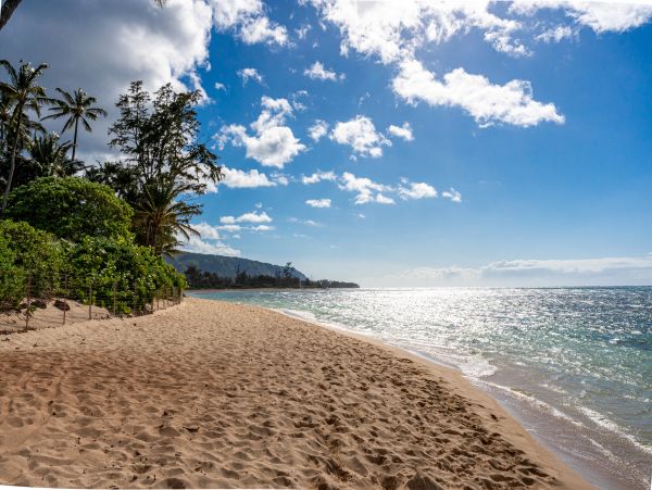 Walk to Beach Waialua Vacation Home Three Bedroom