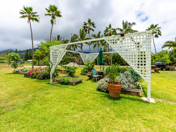 Walk to Beach Waialua Vacation Home Three Bedroom