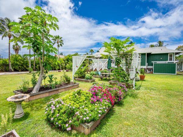 Walk to Beach Waialua Vacation Home Three Bedroom