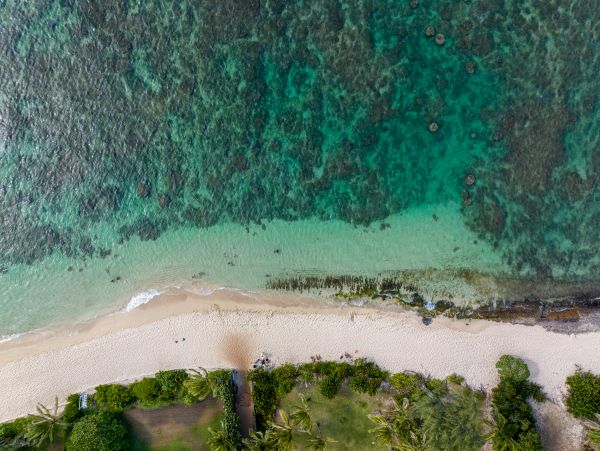 Walk to Beach Waialua Vacation Home Three Bedroom
