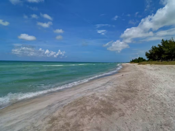 Bayfront Vacation Condo in Longboat Key Sleeps 4