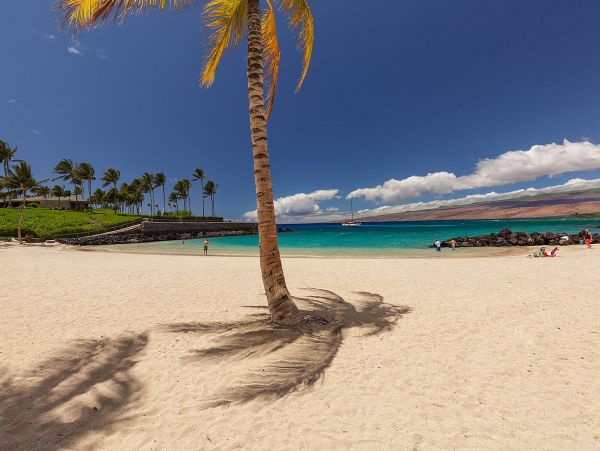 Waimea Vacation Condo Two Bedroom Walk to Beach