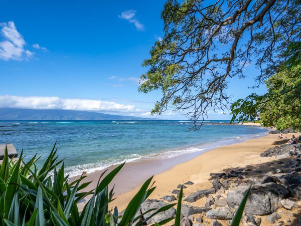Discover the Best vacation Rentals in Kahana: Reserve your Ideal Getaway Today.