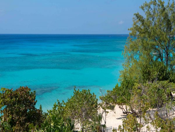 Experience a Luxurious Vacation in the Cayman Islands: Relax and Indulge in Style