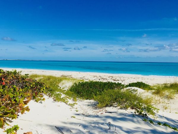 Bahamas Beachfront Four Bedroom Vacation Rental