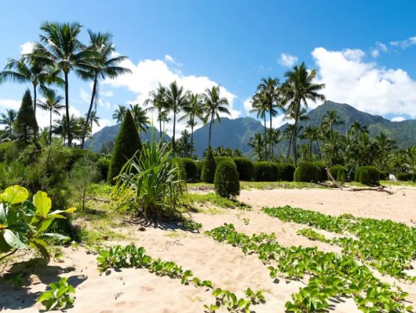 Wonderful Hanalei Villa with 3 Bedrooms