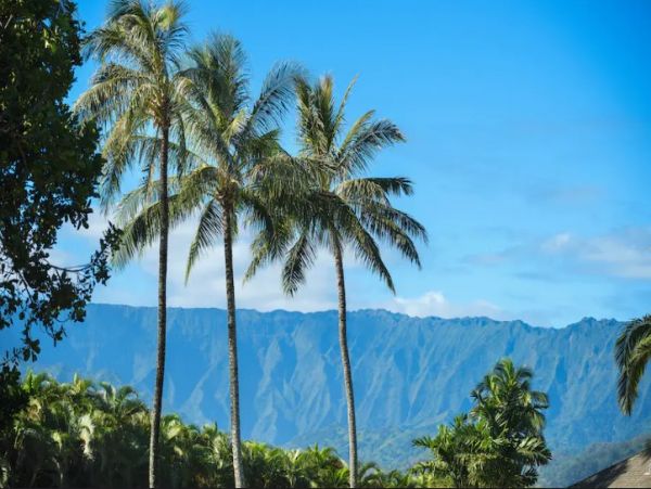 Wonderful Hanalei Villa with 3 Bedrooms