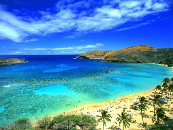 Honolulu Vacation Home Four Bedroom Walk to Beach