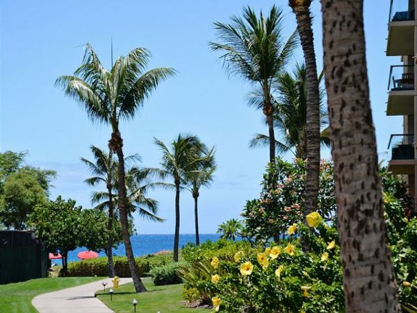 Kaanapali Condo 1061186