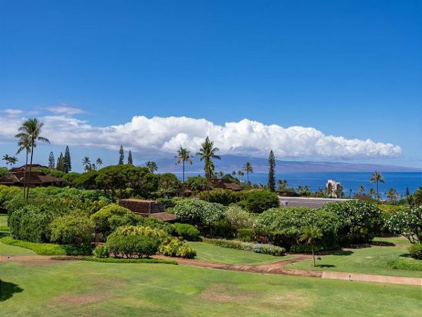 Luxurious 3 Bedroom Villa in Ka'napalli Plantation - Maui Ocean Vies & Prime Location