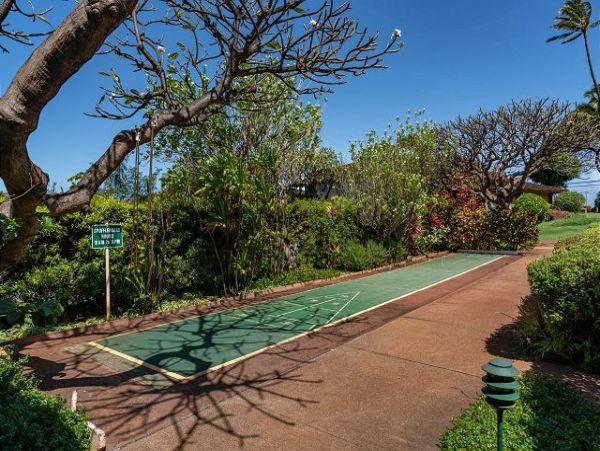Luxurious 3 Bedroom Villa in Ka'napalli Plantation - Maui Ocean Vies & Prime Location