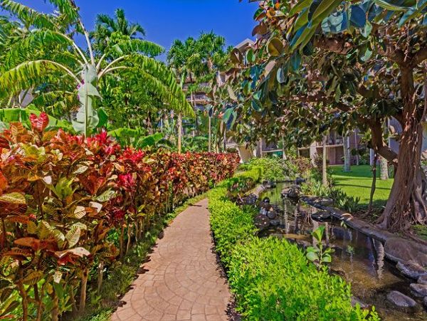 Kaanapali Condo 1061189