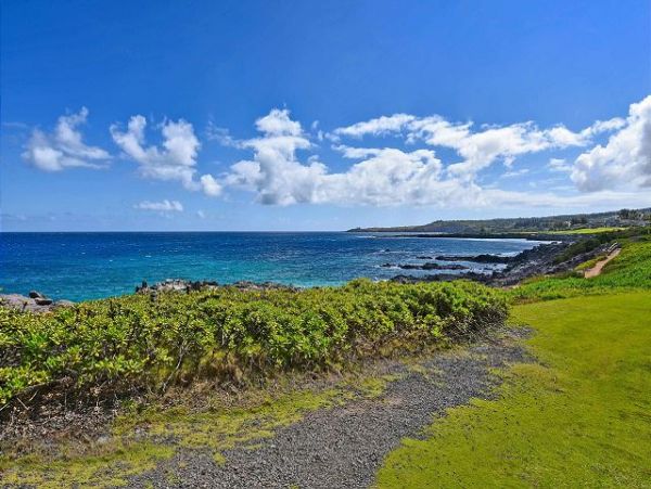 Kapalua Home 1061202