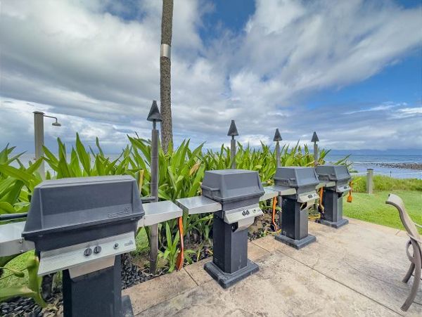 Kahana  Maui Home 1061258