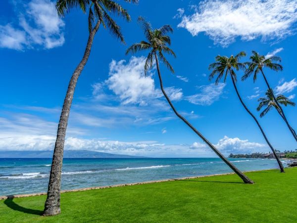 Luxurious Ocean View Condo in West Maui NEW ARRIVAL