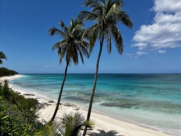 Beachfront 6 Bedroom Vacation Estate in Bahamas