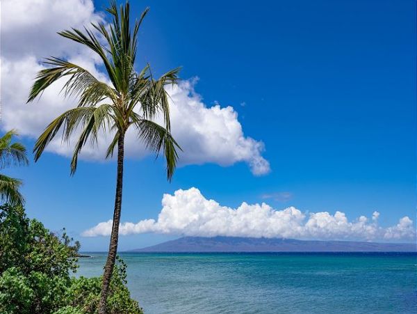 Kahana Oceanfront Two Bedroom Vacation Rental Condo
