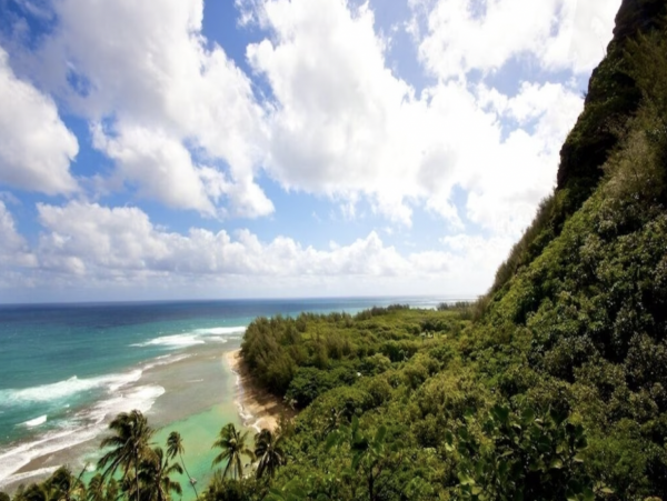 Walk Out Luxury Vacation Residence Beachfront