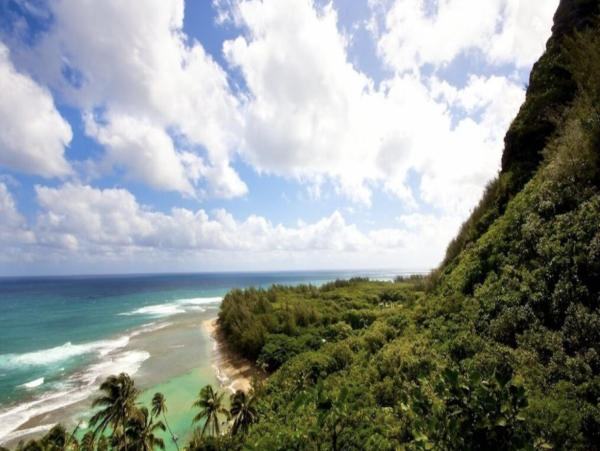 Walk Out Luxury Vacation Residence Beachfront
