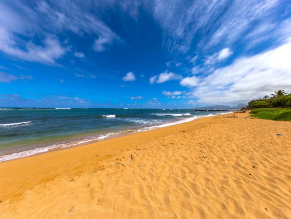 Luxurious Ocenview Penthouse Suite on Kauai's East Shore