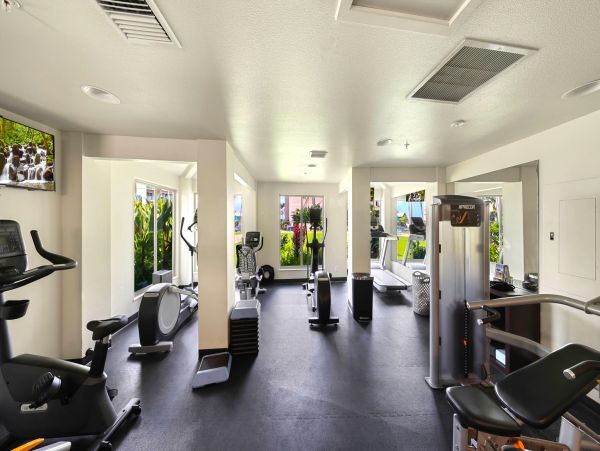 Luxurious Ocenview Penthouse Suite on Kauai's East Shore