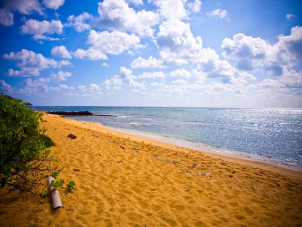 Kapaa Vacation Condo One Bedroom