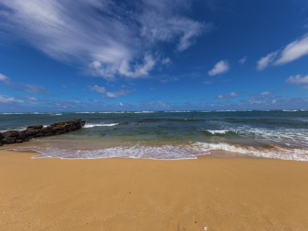 Come Enjoy the Ultimate Views of The Pacific