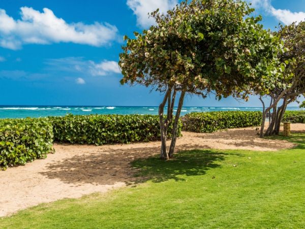 Kapaa Condo Oceanfront with 2 Bedroom