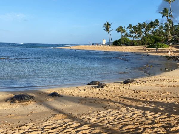 Poipu Vacation Rental - Luxury Kauai Condo with Resort Amenities