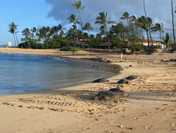 Poipu Vacation Rental - Luxury Kauai Condo with Resort Amenities