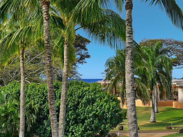 World Class Setting luxury Vacation Town House Poipu Kauai