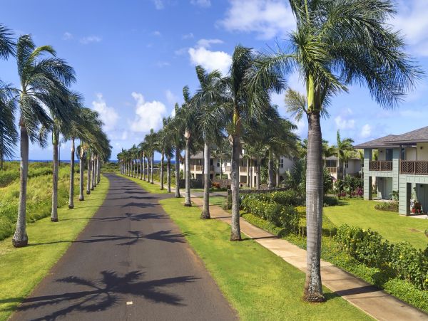 Poipu Luxury Vacation Rental - Kauai South Shore 3 Bedroom Condo Near Beach & Golf