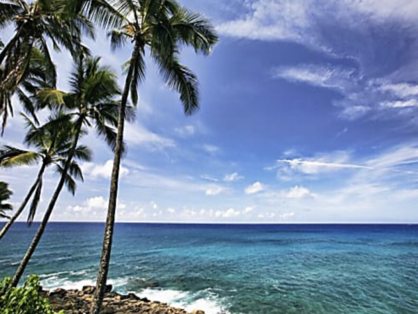 Kauai Luxury Plantation Style Less than Mile to Beach