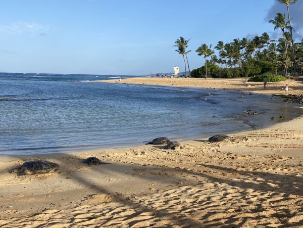 Kauai Luxury Plantation Style Less than Mile to Beach