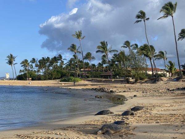 Kauai Luxury Plantation Style Less than Mile to Beach