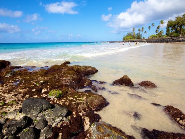 Hidden Gem Three Bedroom Vacation Rental in Poipu