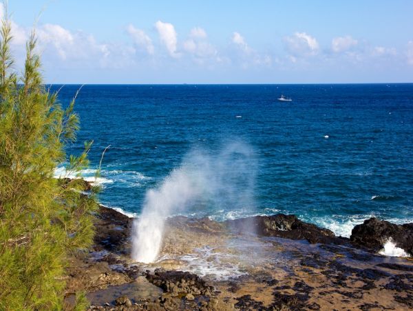 Hidden Gem Three Bedroom Vacation Rental in Poipu