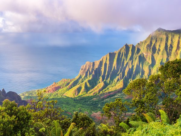 Luxurious Vacation Rental in Koloa Three Bedroom
