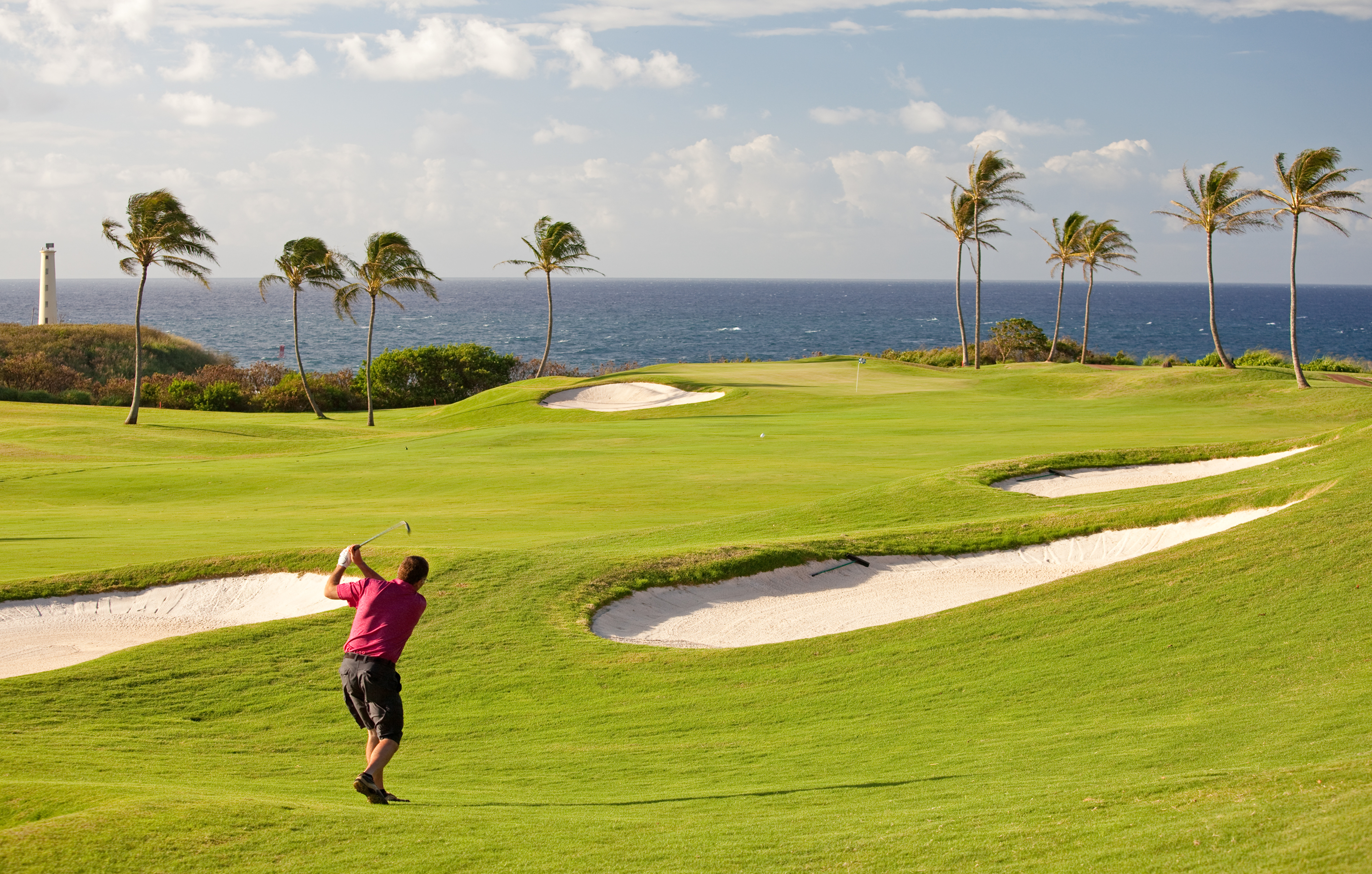 Spacious 4 Bedroom Vacation Rental in Koloa