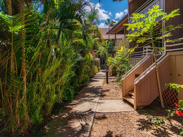 Kihei Condo 1061400