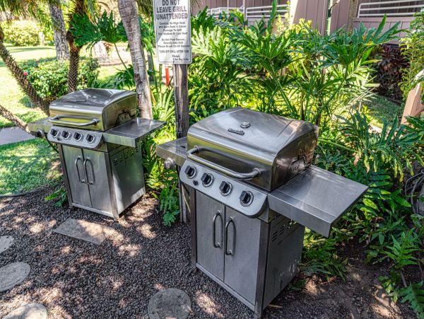 Kihei Condo 1061400